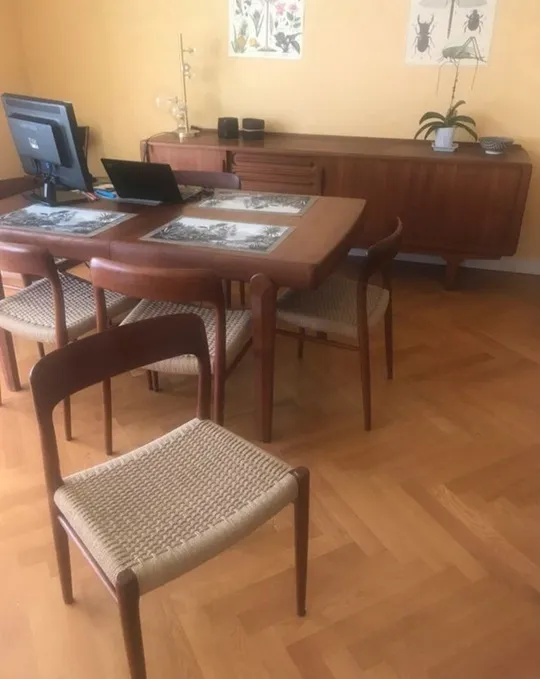 Meuble scandinave à vendre chez un antiquaire près de Lyon